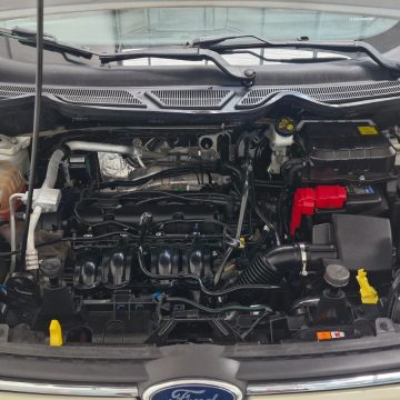 WhatsApp Image 2026-01-28 at 18.48.48 (2)